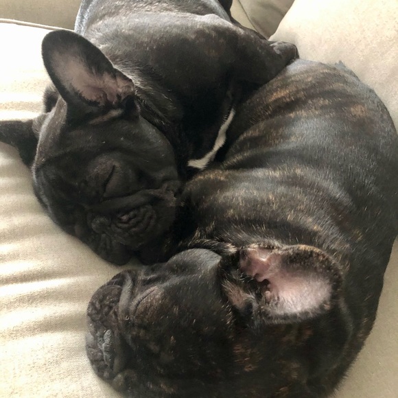 Meet your Posher, Kelley - Picture 1 of 1